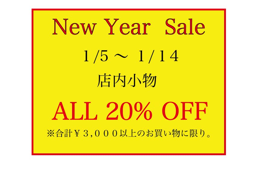 new year sale 1