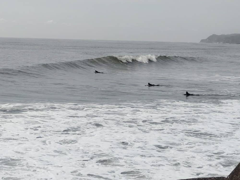 CENTER 0001 BURST20240606091439719 COVER