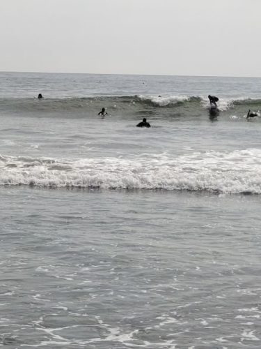 相変わらずの小波続きですが良い波ですよ~ 5 DSC 5450