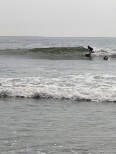 相変わらずの小波続きですが良い波ですよ~ 4 DSC 5451