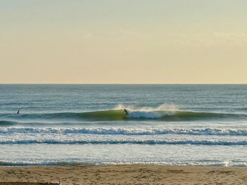 気が付けばもう11月も終わりに~今年残すは1カ月~ 2 981cc321041e03d5524051ef6314443d