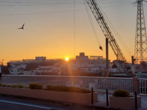 明けましておめでとうございます~皆さんはお仕事始まりましたか?? 2 20250101 070138