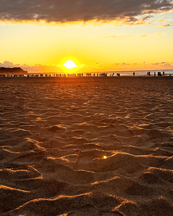 c93ef331798325ab0937ef337a46ea36